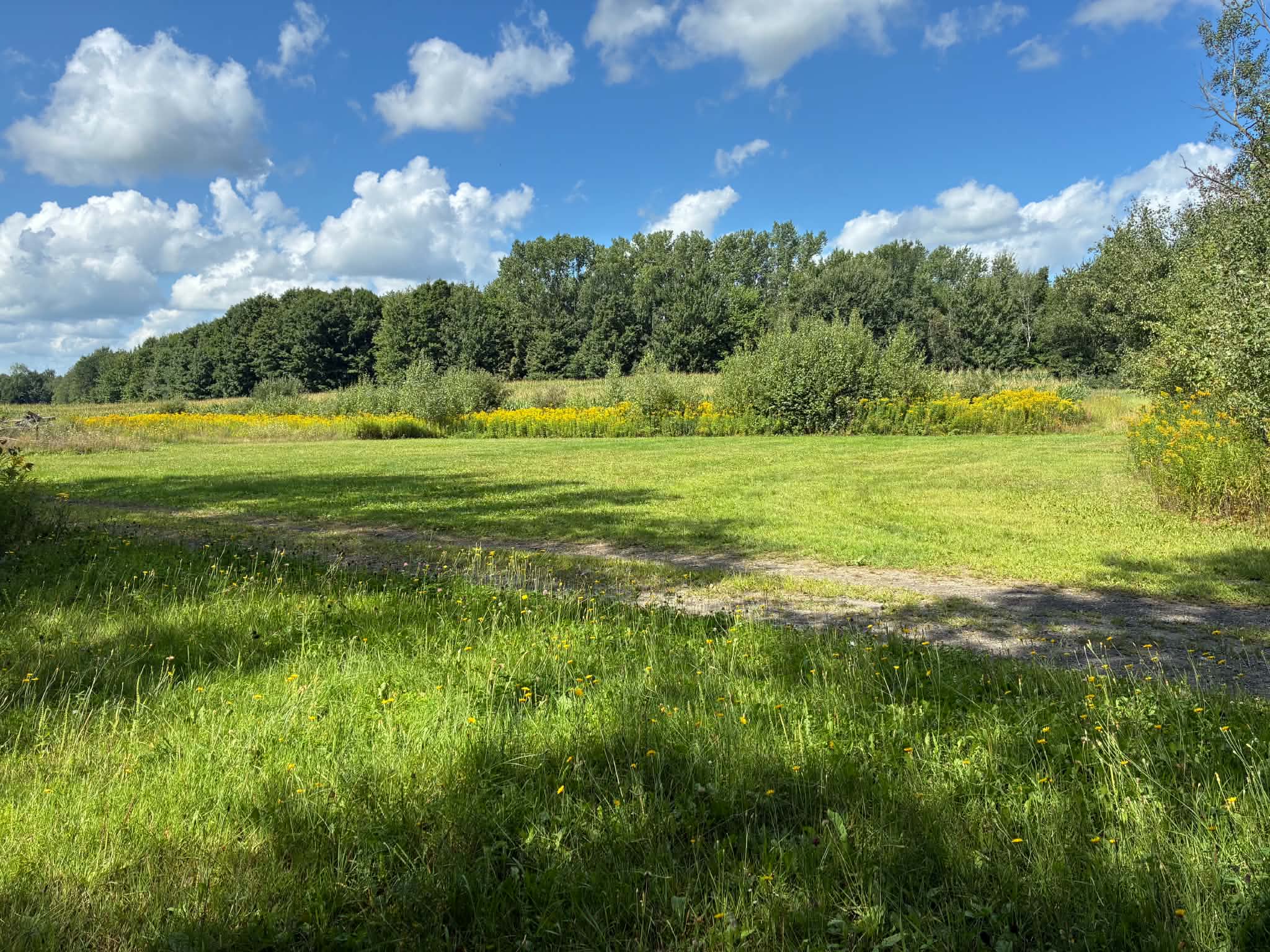 Emplacement VR à la ferme